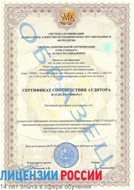 Образец сертификата соответствия аудитора №ST.RU.EXP.00006191-3 Чудово Сертификат ISO 50001